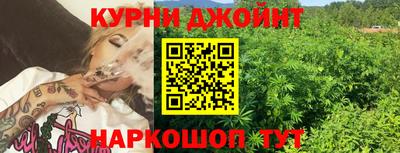 гашик Жуковский